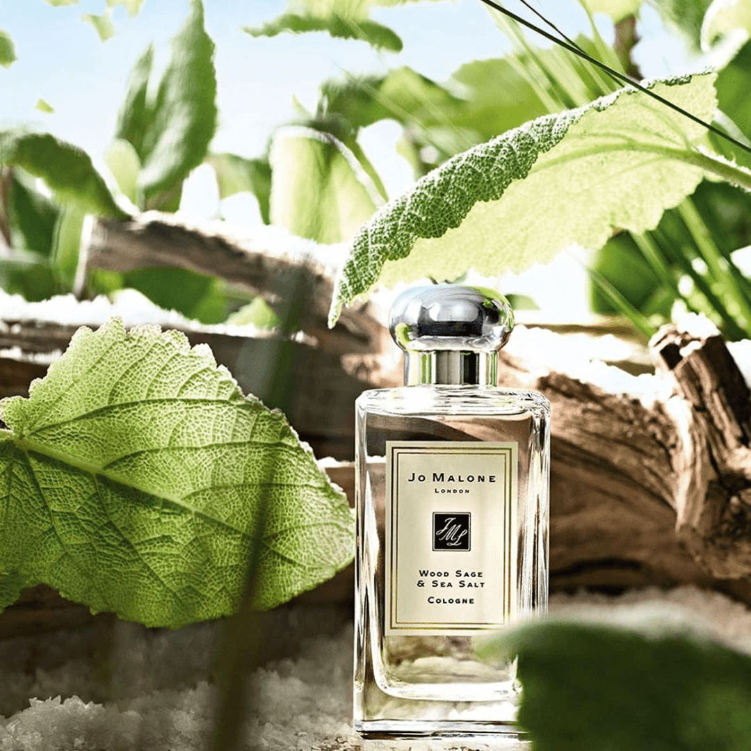 Jo Malone Wood Sage & Sea Salt - Lux Perfume