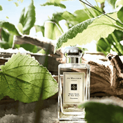 Jo Malone Wood Sage & Sea Salt - Lux Perfume