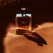 Hermes Terre D'Hermes - Lux Perfume